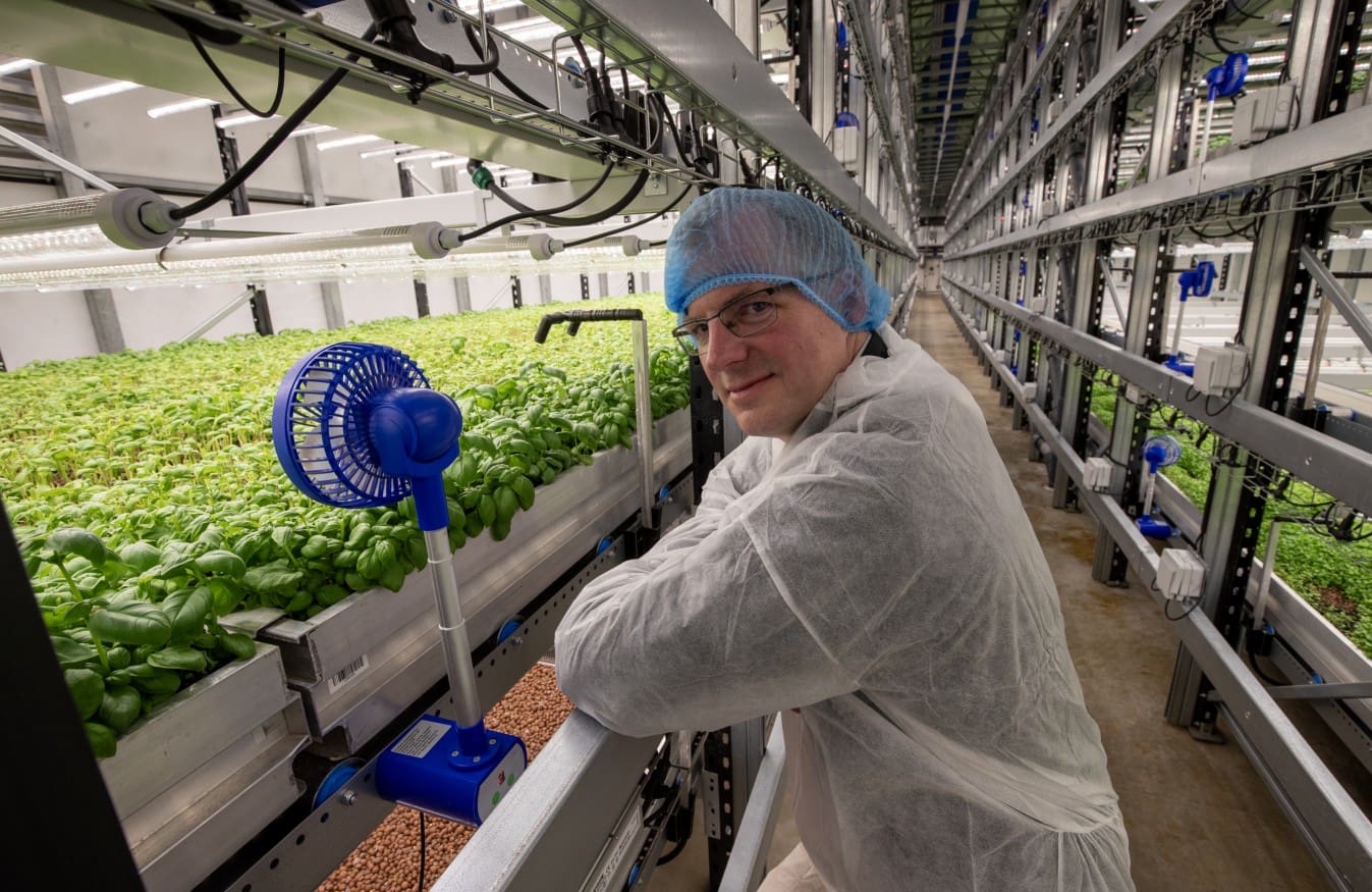 Fischer Farms in The Times