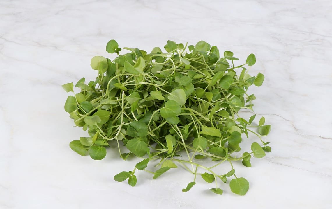 Vertical Farming pioneers Fischer Farms receives TSG certification for Watercress