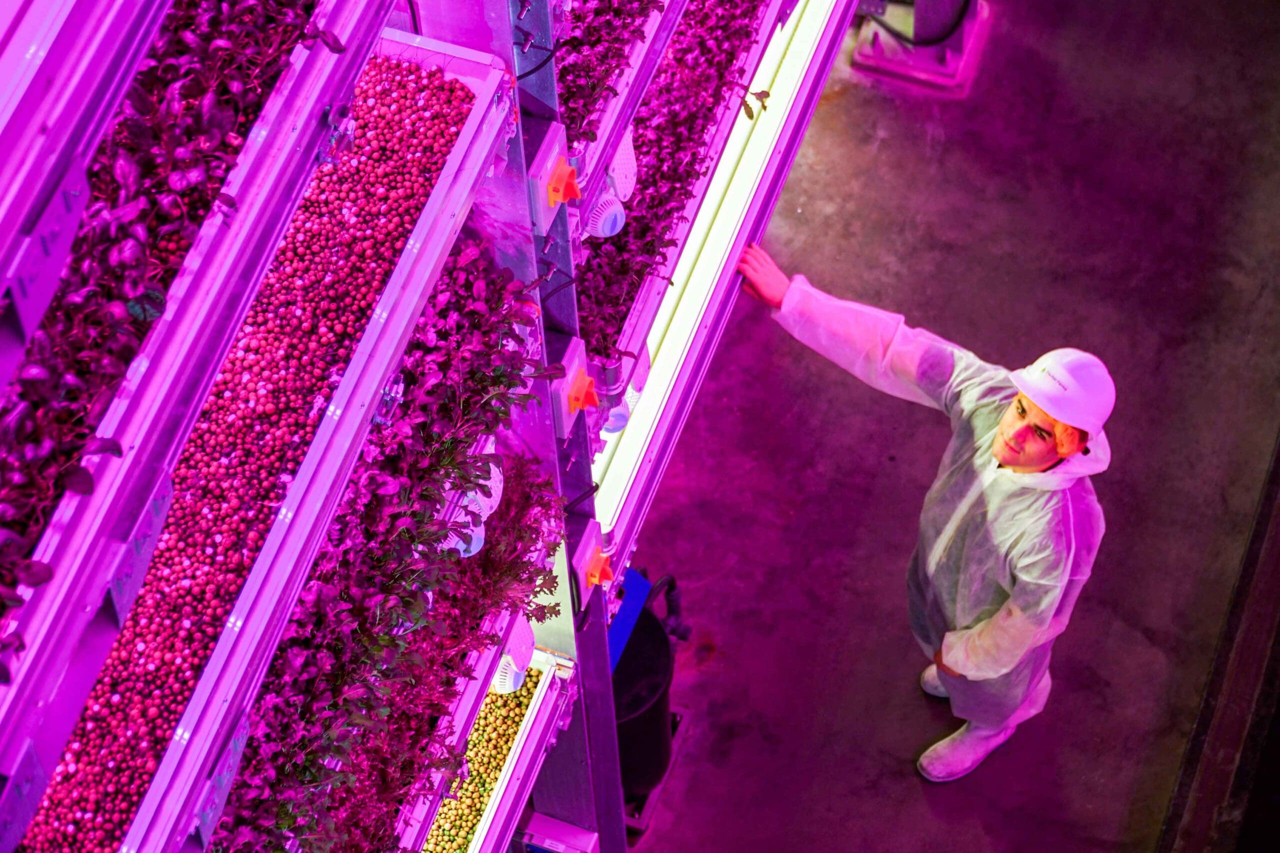 Vertical Farming Today interview