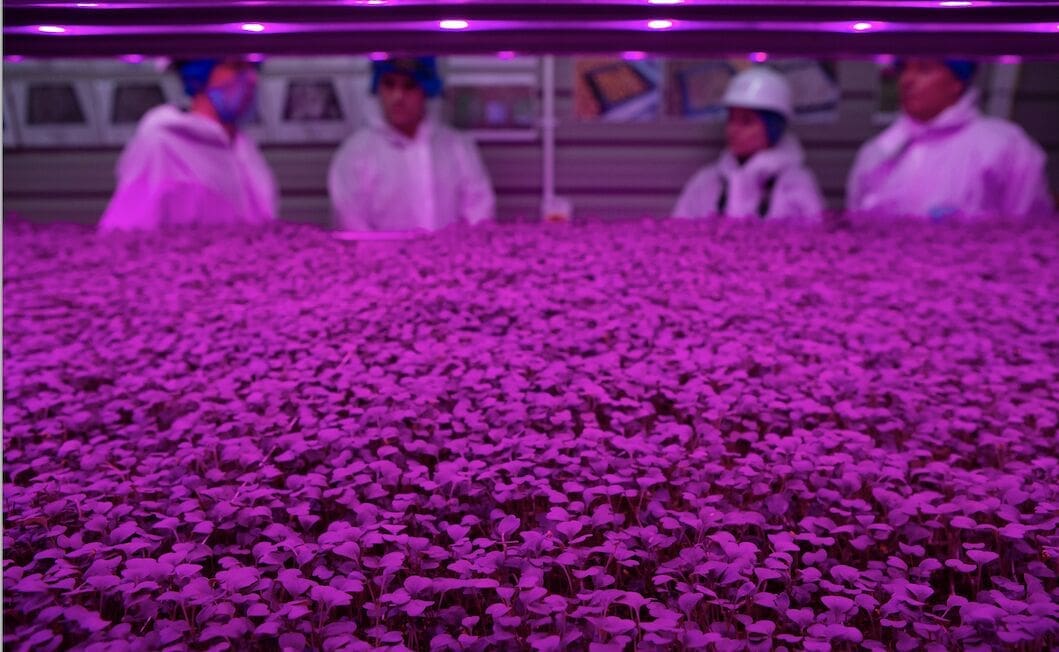 The Only Way Is Up: Clegg Food Projects constructing ‘World’s Biggest’ Vertical Farm