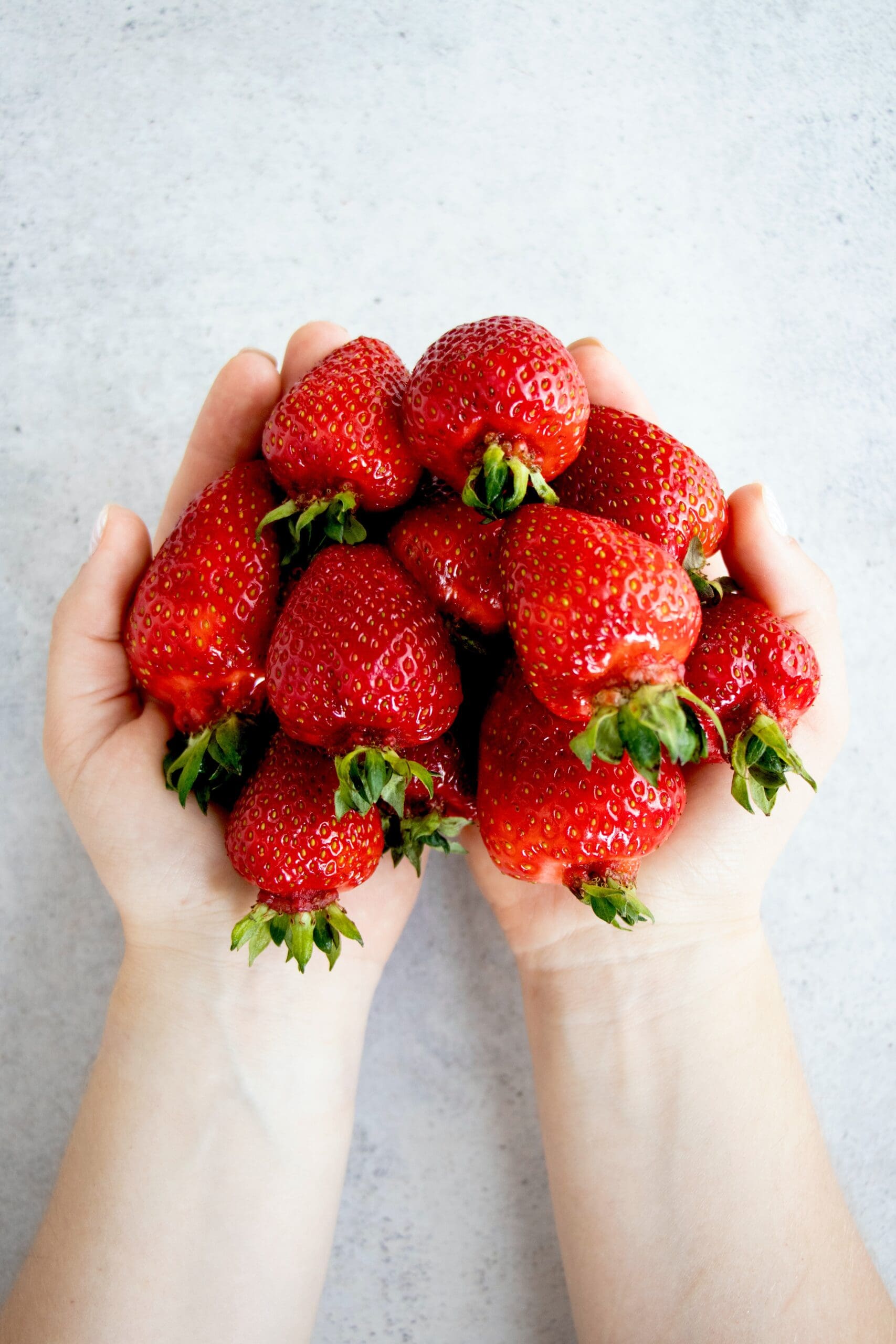 It’s Strawberry Season at Fischer Farms